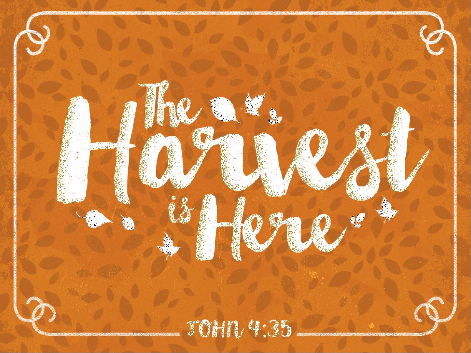 The Harvest is Here Christian PowerPoint