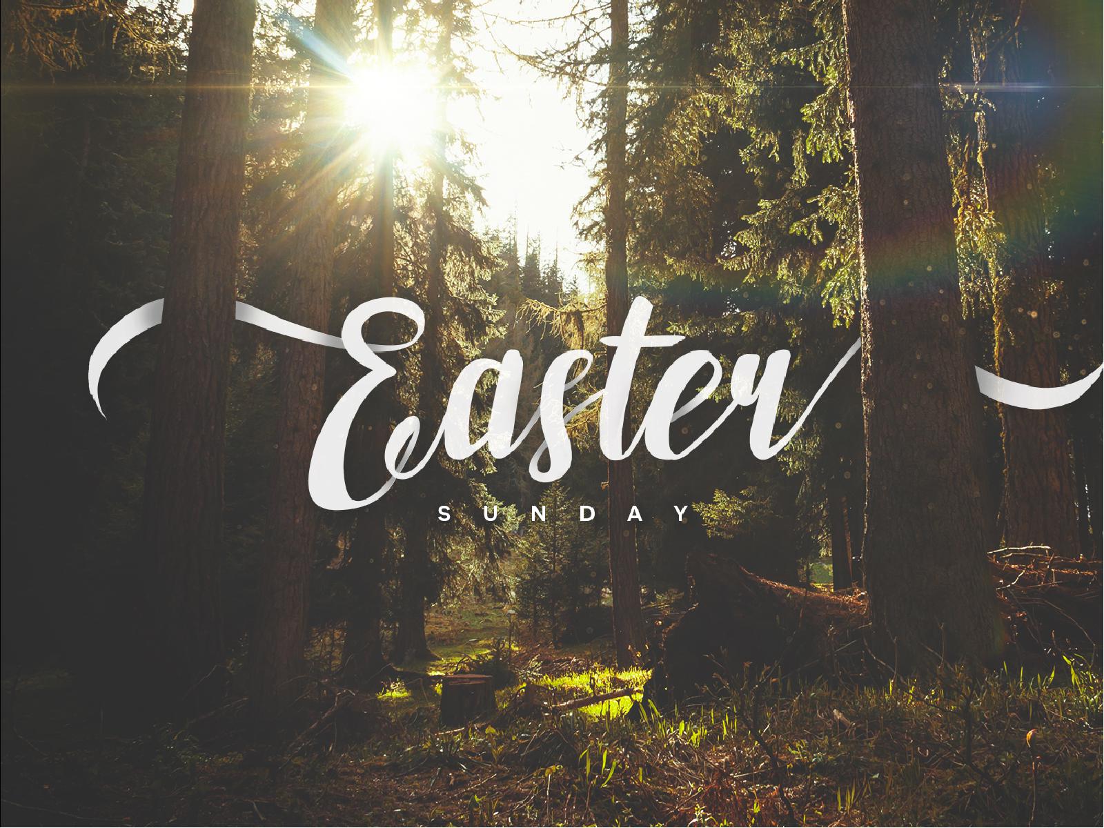 Easter Sunday Forest Church PowerPoint