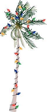 Palm Tree Strung with Lights