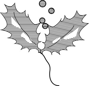 Holly Leaves in Black and White