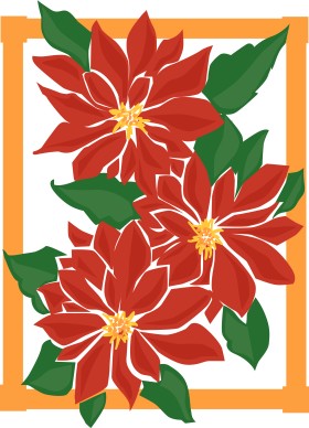 Poinsettia Planter Box