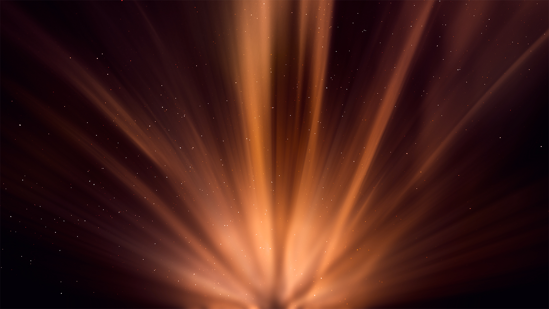Christmas Manger Collection by Lifescribe Media: 7