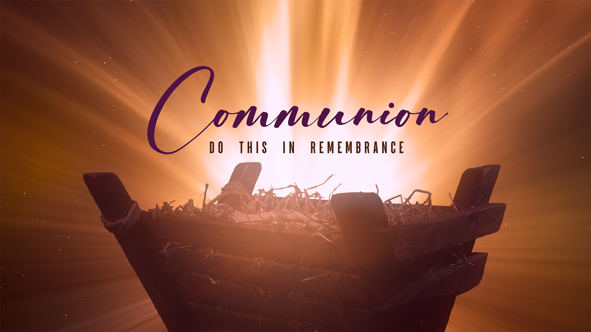 Christmas Manger Collection by Lifescribe Media: Communion