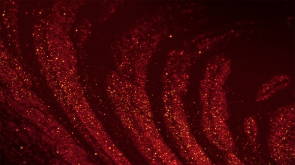 Sparkling Christmas Collection: Still Background 8