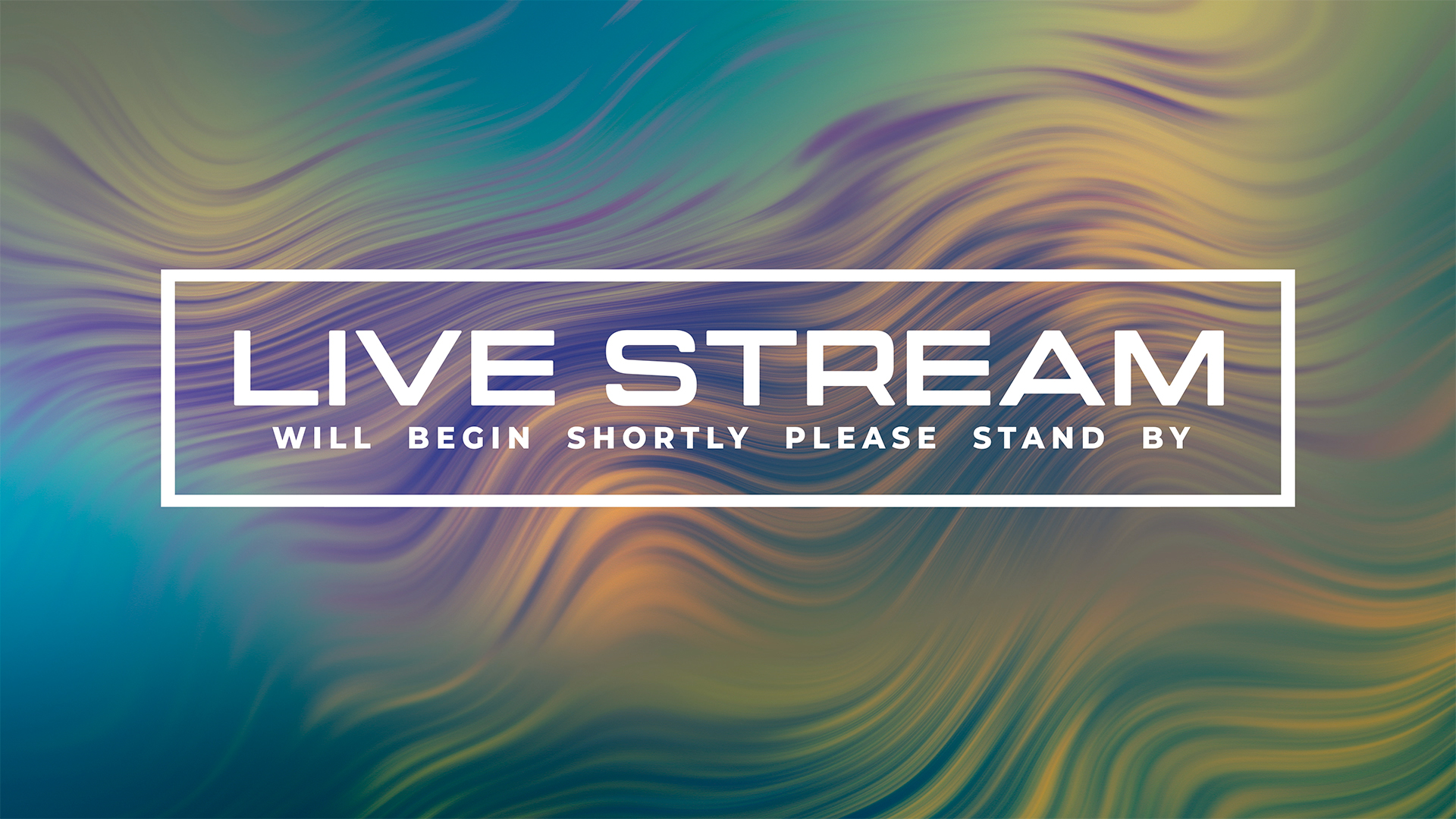 Luminance Collection by Lifescribe Media: Live Stream