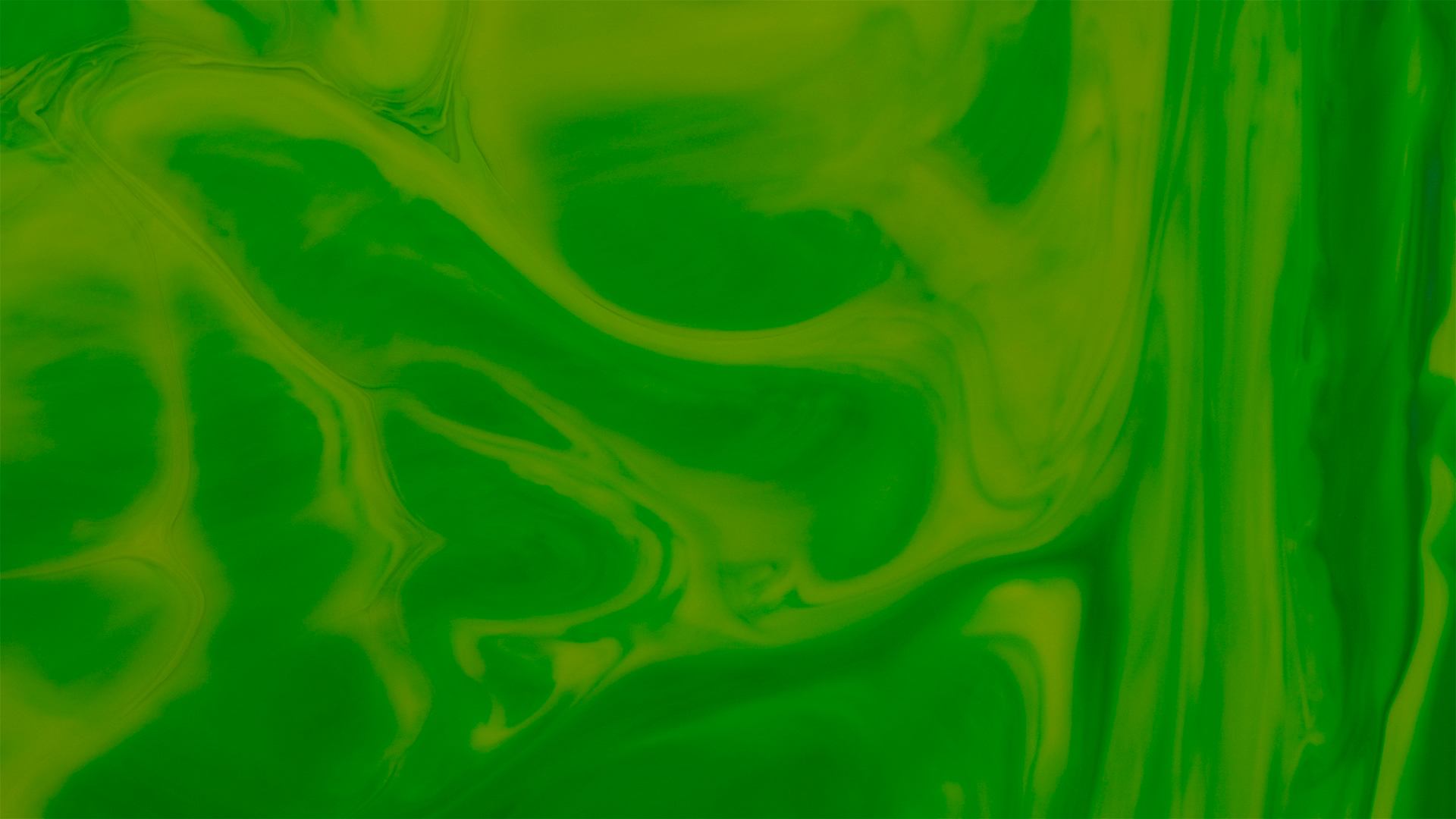 Palm Sunday Paint Collection: 2