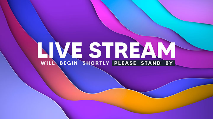 Waveflow: Live Stream