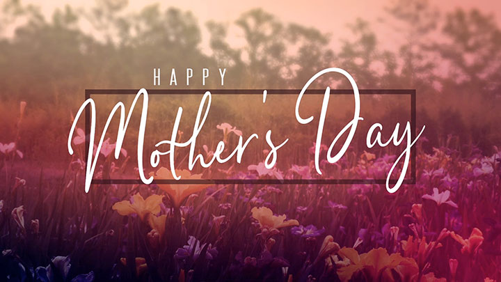 Wildflower Collection: Mother s Day