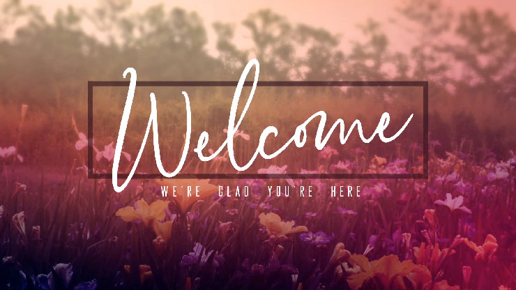 Wildflower Collection: Welcome