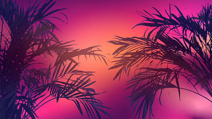 Sun Palms Collection: 10