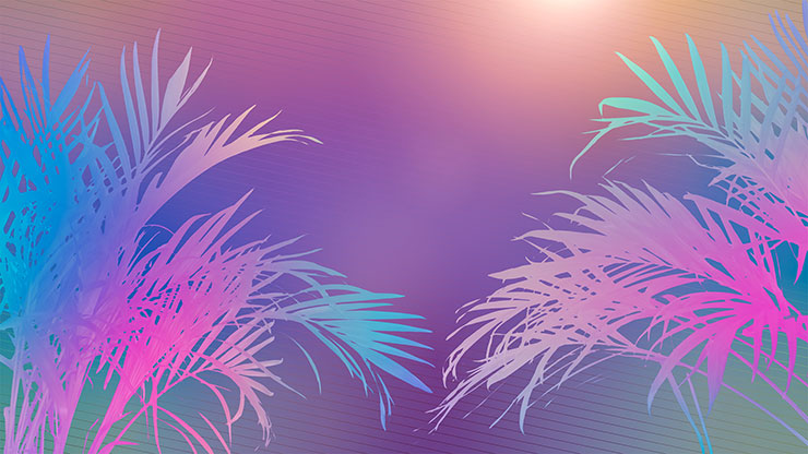 Sun Palms Collection: 12