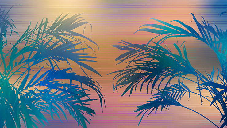 Sun Palms Collection: 14