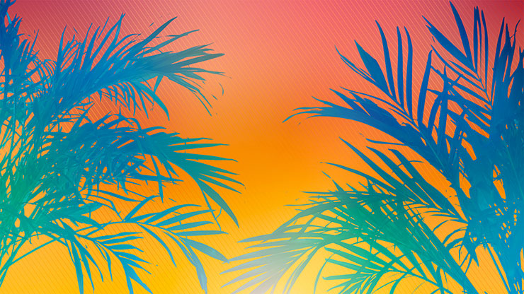 Sun Palms Collection: 1