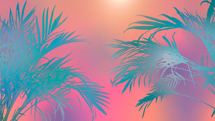 Sun Palms Collection: 8