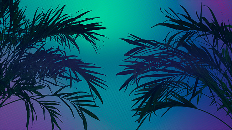 Sun Palms Collection: 9