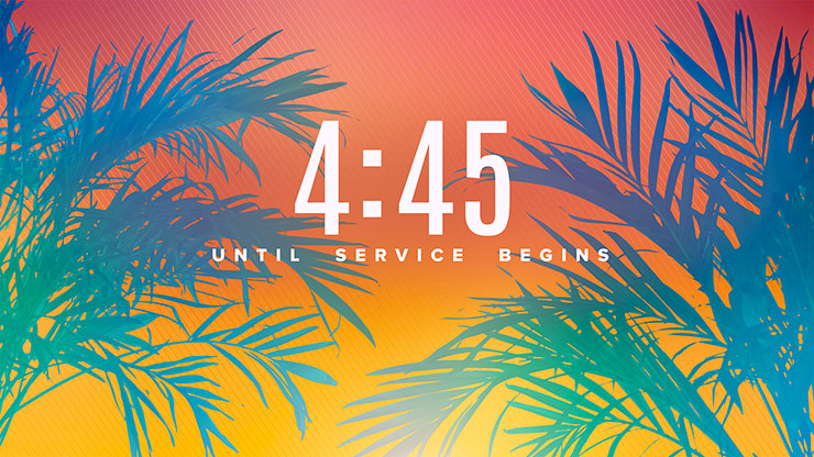 Sun Palms Collection: Countdown