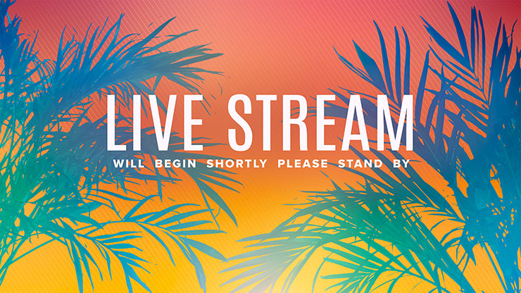 Sun Palms Collection: Live Stream