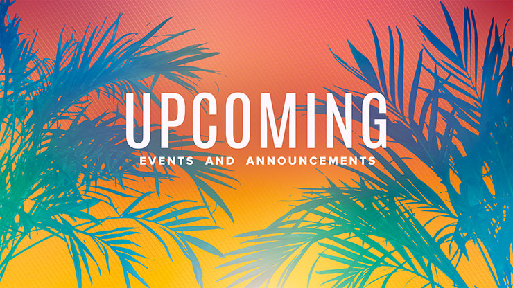 Sun Palms Collection: Upcoming