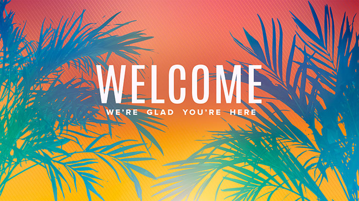 Sun Palms Collection: Welcome