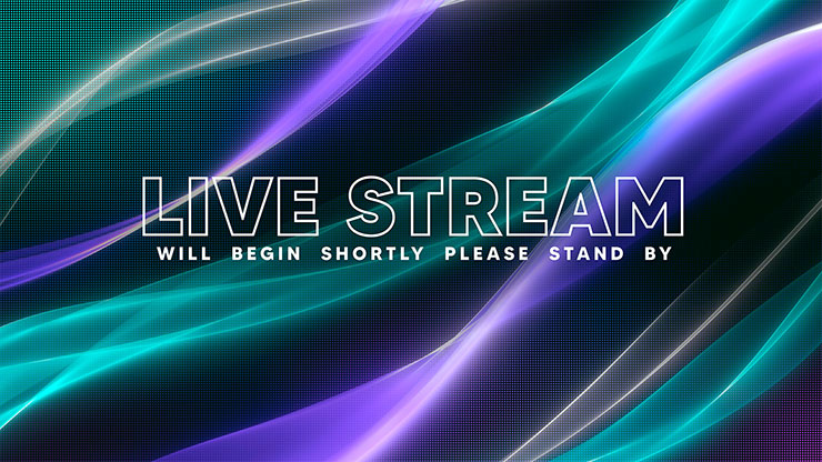 Wavelite: Live Stream