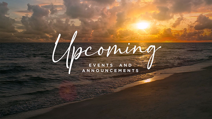 Sunset Beach: Upcoming