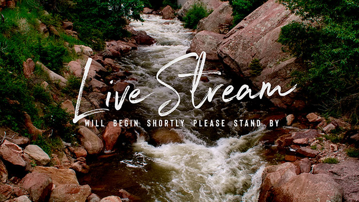 El Dorado Collection: Live Stream Motion