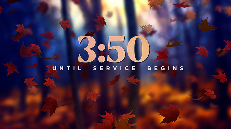 Fall Woods: Countdown