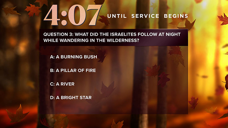 Fall Woods: Trivia Countdown
