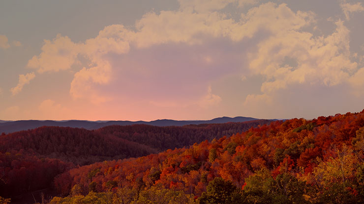Wilderness Fall: 10