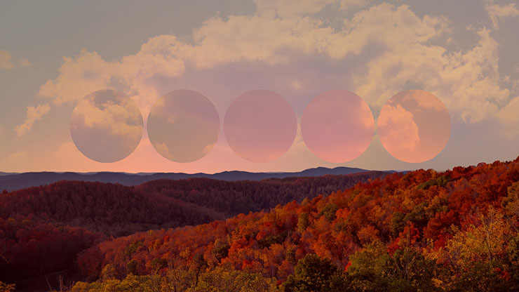 Wilderness Fall: 10 Remix