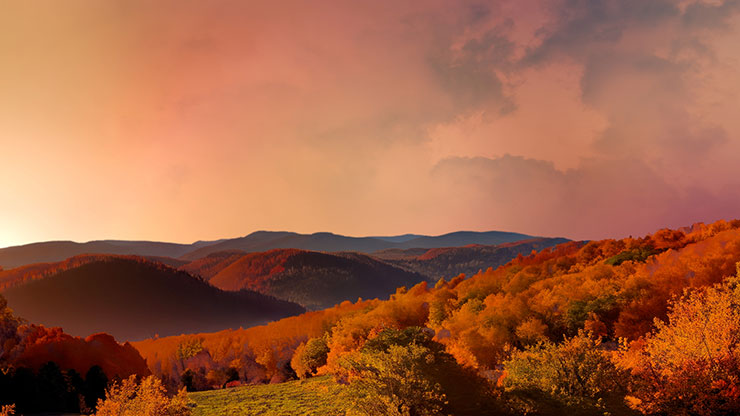 Wilderness Fall: 12