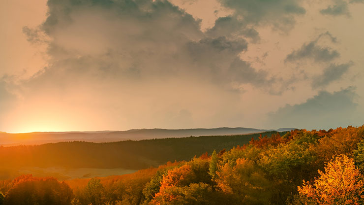 Wilderness Fall: 1