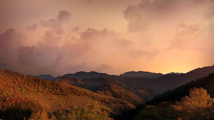 Wilderness Fall: 2