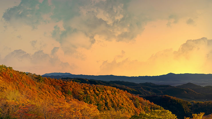 Wilderness Fall: 6