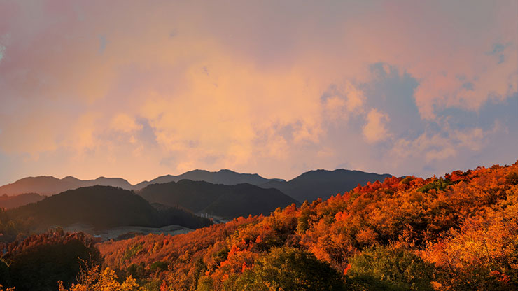 Wilderness Fall: 7