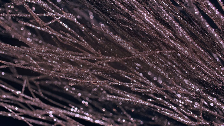 Christmas Gold 12 - Motion