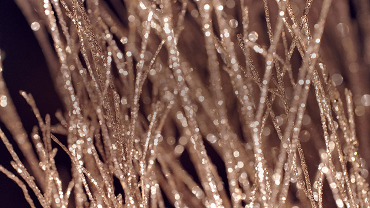 Christmas Gold 13 - Still