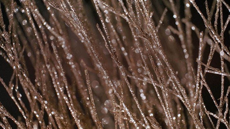 Christmas Gold 15 - Motion