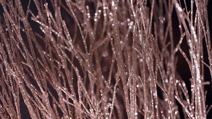 Christmas Gold 16 - Still