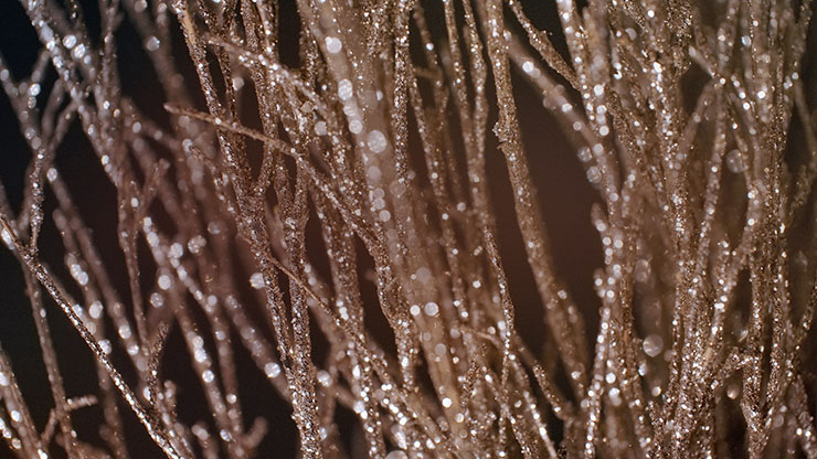 Christmas Gold 4 - Still