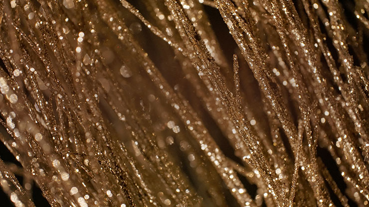 Christmas Gold 5 - Motion