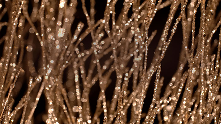 Christmas Gold 7 - Motion