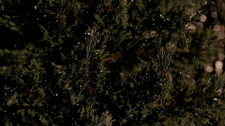 Christmas Tree: 10 - Still