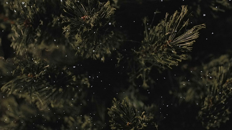 Christmas Tree: 3 - Still