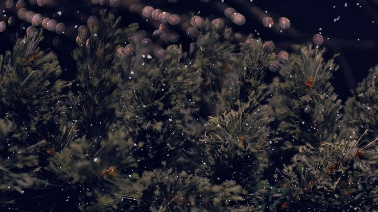 Christmas Tree: 4 - Still