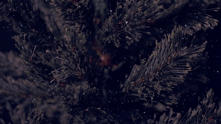 Christmas Tree: 6 - Still