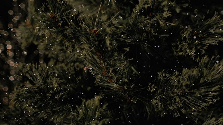 Christmas Tree: 7 - Motion