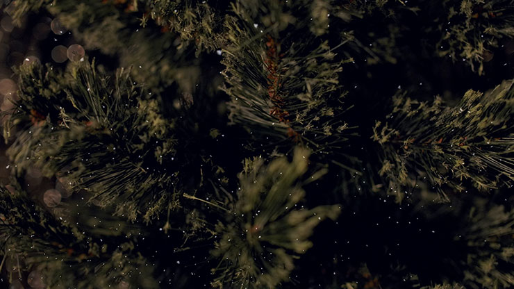 Christmas Tree: 8 - Motion