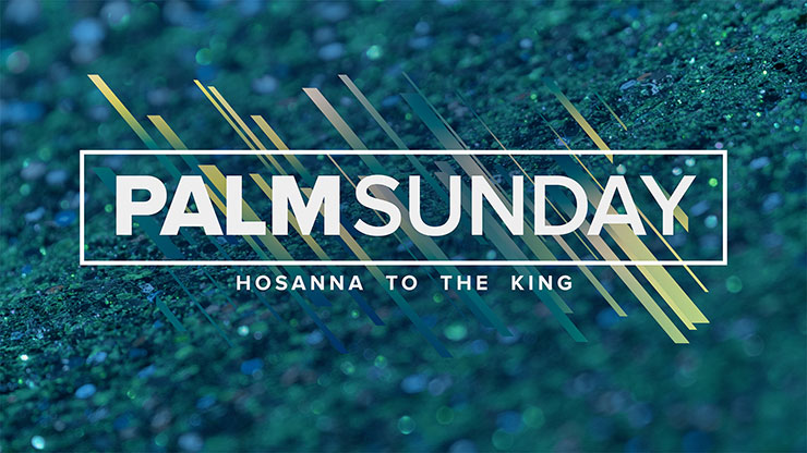 Sapphire Collection: Palm Sunday