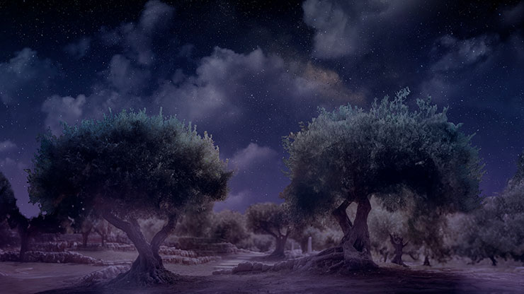 Easter Story: Garden of Gethsemane - Still